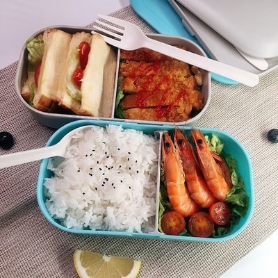 Stay Eco-Friendly on Your Picnic with our 2-Layer Organic BPA Free Plastic Lunch Box