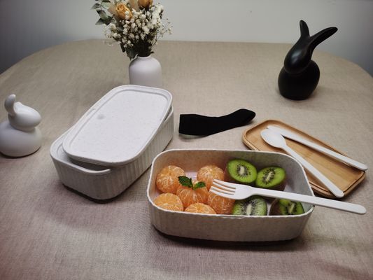 Food Kid-Friendly Yum Bento Lunch Box with Modern Curry and Picnic Double-Layer Bamboo Lid