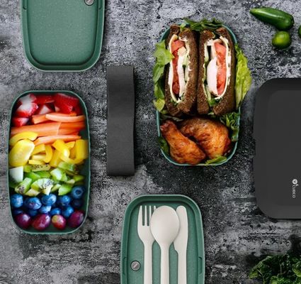 Take Away Lunch Box Food Grade Banana Leaf Design Black Plastic BPA Free Double Layer