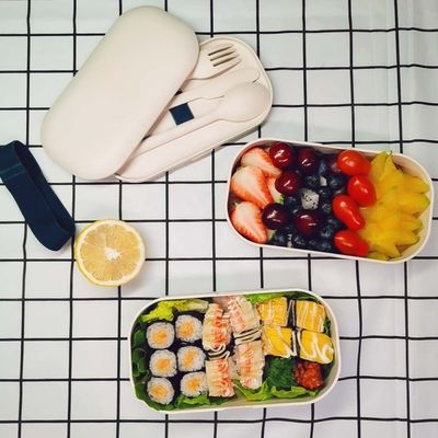 Bamboo Fiber Eco-friendly Dual Tier Lunch Box for Picnic and Outdoor