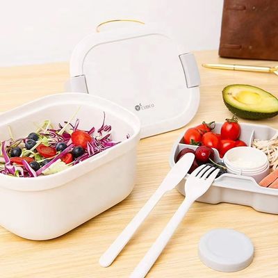 Multifunctional Rectangle Eco BPA Free Plastic Salad Fridge Storage Container with Bag