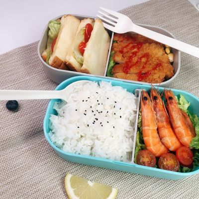 Japanese Bento On-the-Go Double Layer Food Grade Lunch Box Set Eco Plastic BPA Free