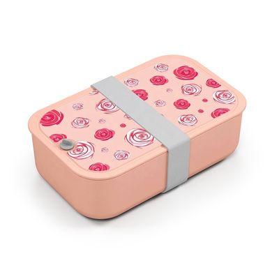 Large Capacity 1000ml Blue Rectangle BPA Free Food Container with Movable Divider