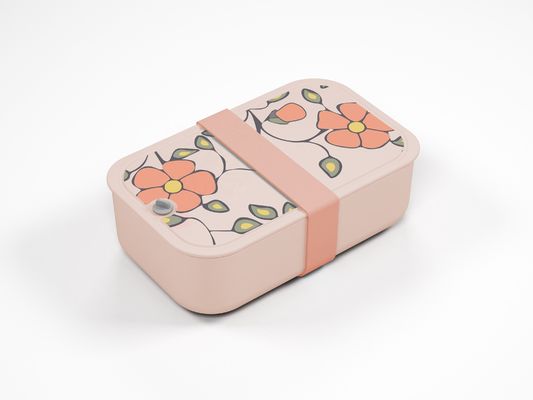 Plastic BPA-free Single-layer Lunch Box for Children Storage Container Recycled Leakproof