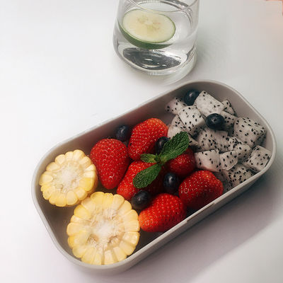 PP Lid Small Capacity 600ml Lunch Box for Safe and Convenient On-the-Go Food Storage